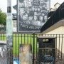 Derry, Everything is quiet.