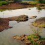 Fleuve Gambie