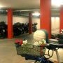 Des fleurs dans mon parking