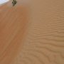 La graine et les grains de sables.