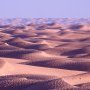Sahara.