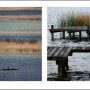 Les lignes de vies