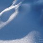 Ombre et formes.