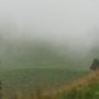 Alone in the fog
