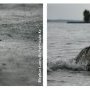 Les larmes du lac.