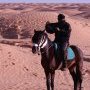 Un cavalier, qui surgit hors de la de la nuit, court vers l'aventure au (…)