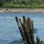 Poutrelles