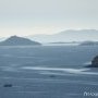 Bleu Irlande