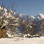 Aravis.