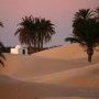 Marabou des sables.