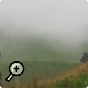 photo : Alone in the fog